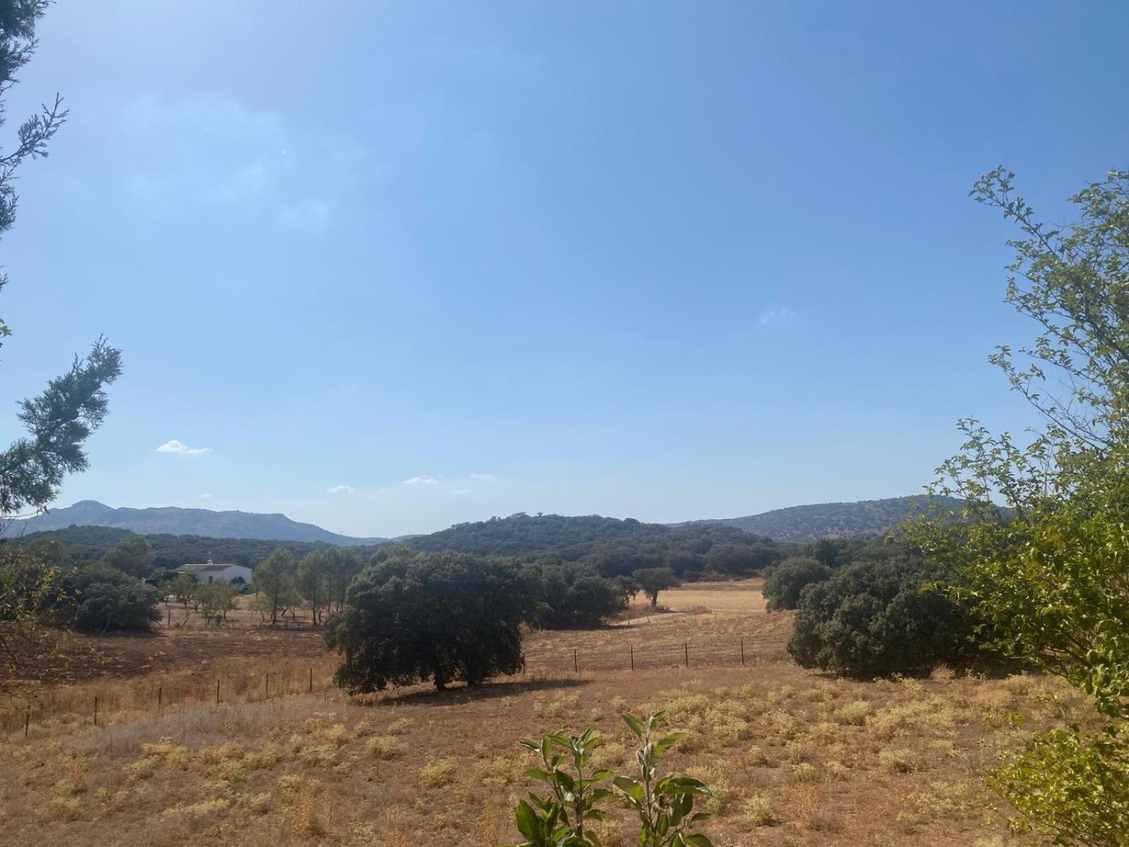 Casa Rural El Contarin - An Andalusian Escape, Archidona, Malaga מראה חיצוני תמונה