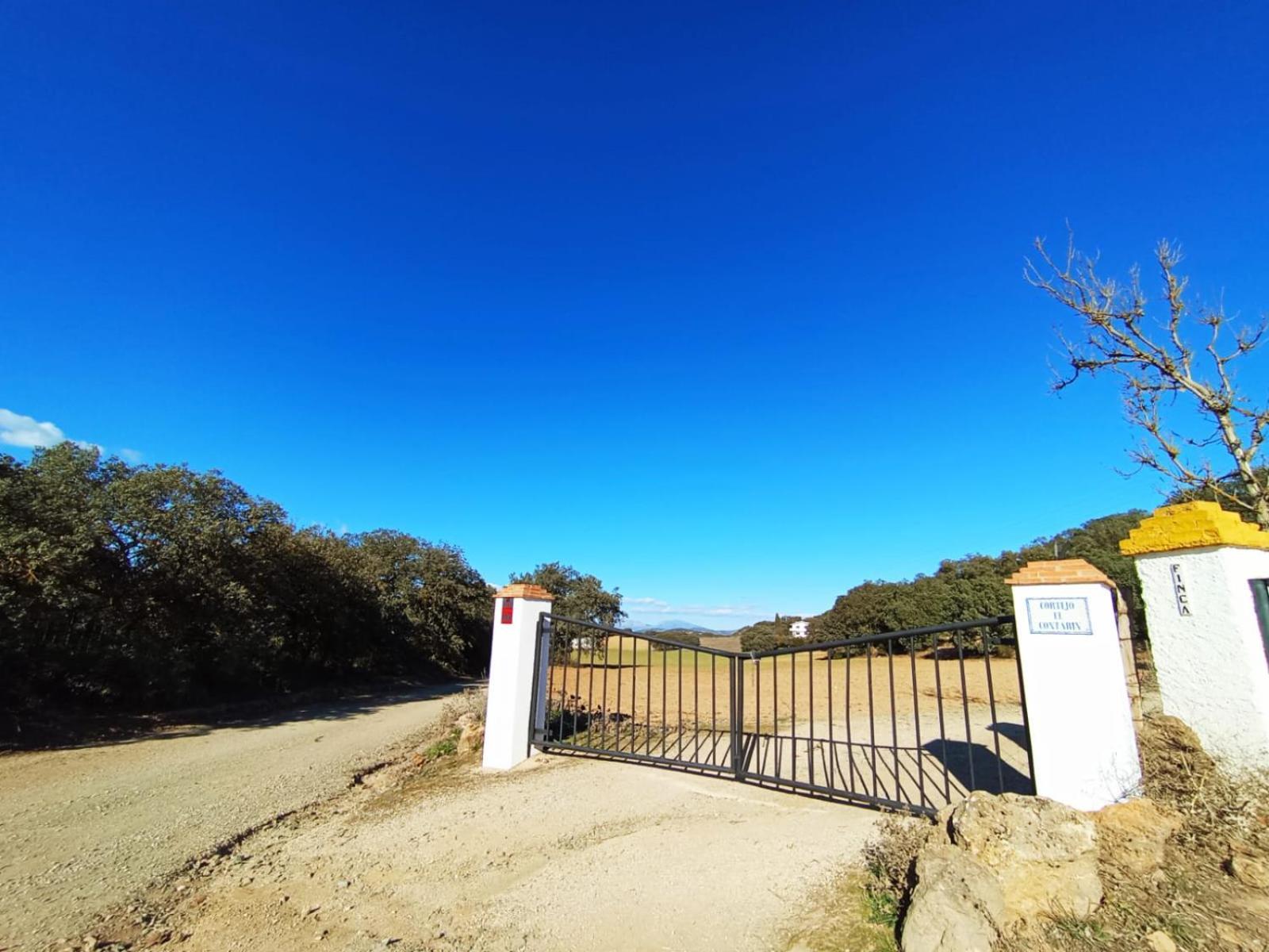 Casa Rural El Contarin - An Andalusian Escape, Archidona, Malaga מראה חיצוני תמונה