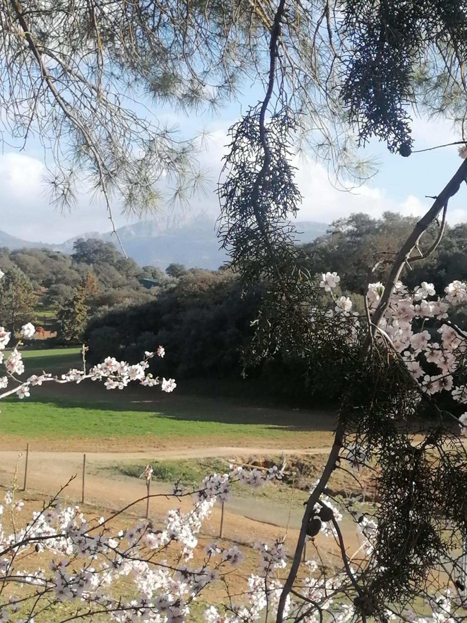 Casa Rural El Contarin - An Andalusian Escape, Archidona, Malaga מראה חיצוני תמונה